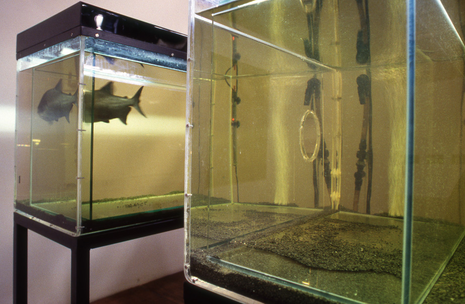 Sophia Kosmaoglou Trial Separation, 1995. Glass, acrylic, metal, gravel, power filter, heaters, fluorescent lamps, peat, piranha, 167 x 102 x 147 cm. 5th İstanbul Biennial, 1997