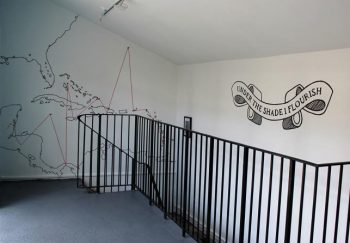 Chris Alton [2016] Under the Shade I Flourish. Installation view at xero, kline & coma, London 2016.