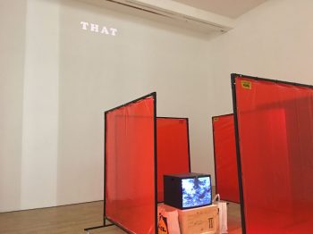 Benedict Drew [2017] The Trickle-Down Syndrome. Installation view. Whitechapel Gallery, London. Photo Ian Birkhead.